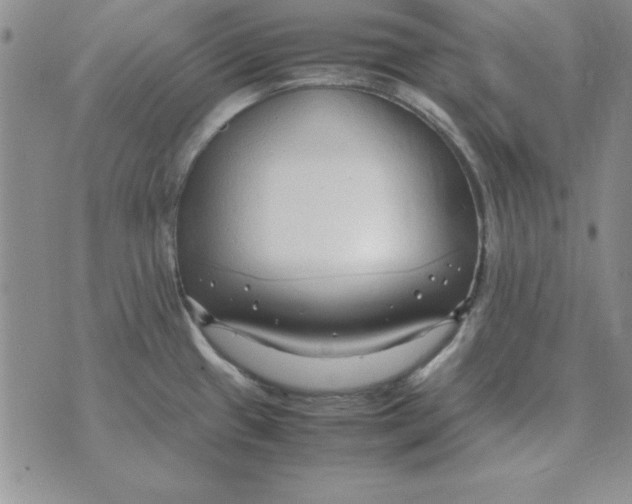 X0000070431433200606302115