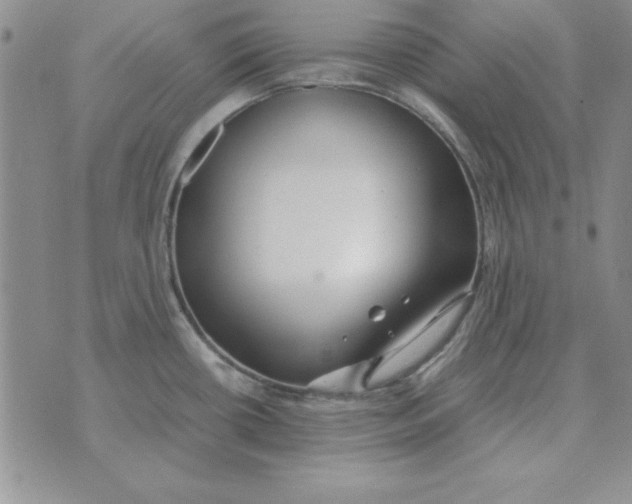 X0000070431434200606302115