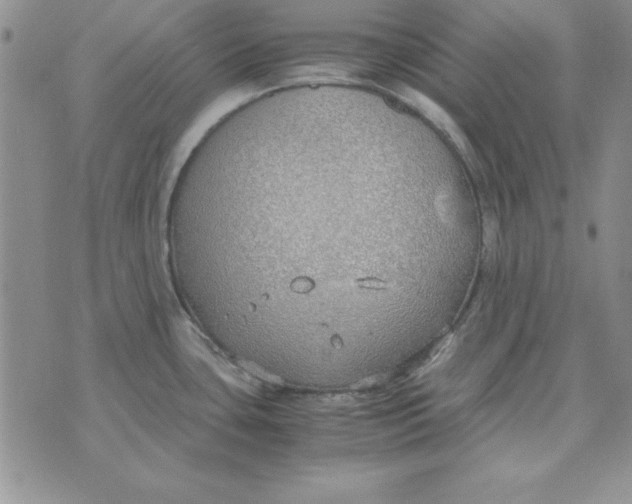 X0000070431435200606302115