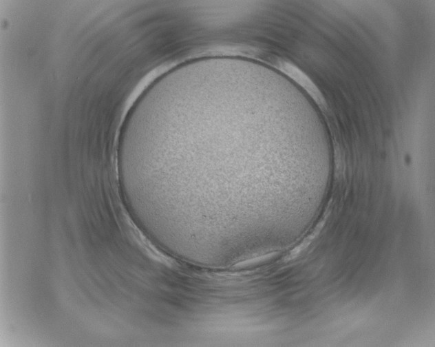 X0000070431436200606302115