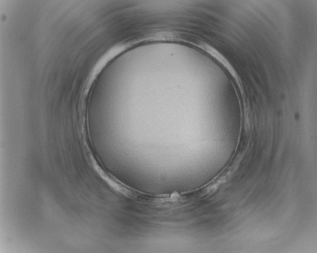 X0000070431437200606302115