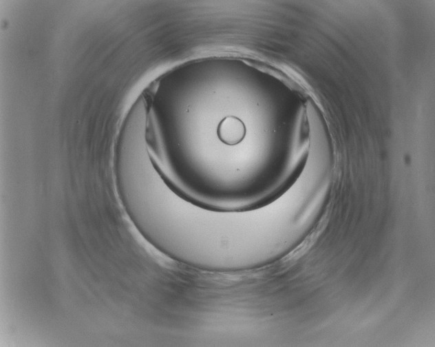 X0000070431438200606302115