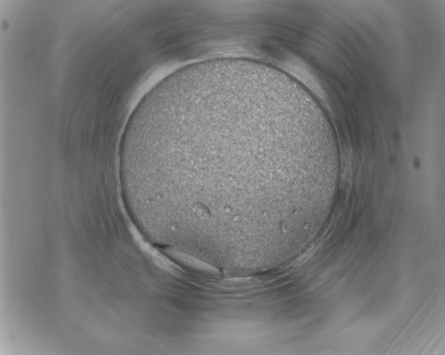 X0000070431439200606302115