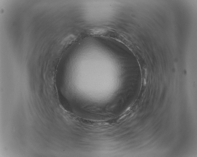 X0000070431441200606302114