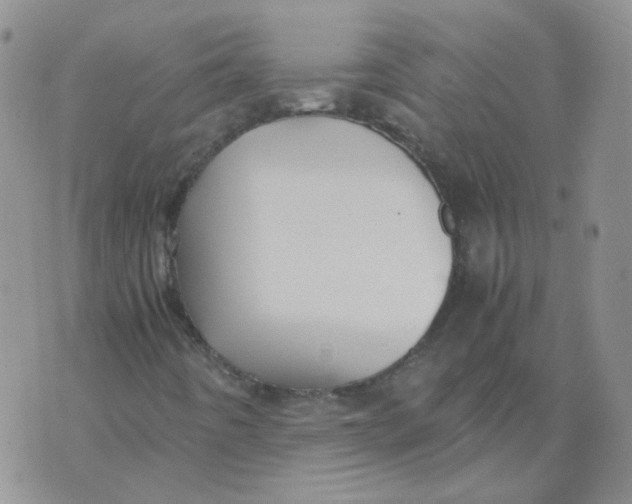 X0000070431442200606302114