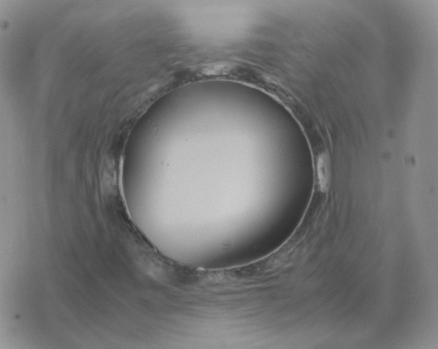 X0000070431443200606302114