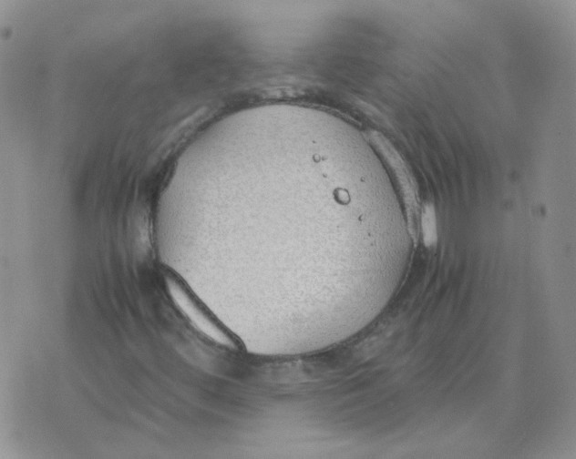 X0000070431444200606302114