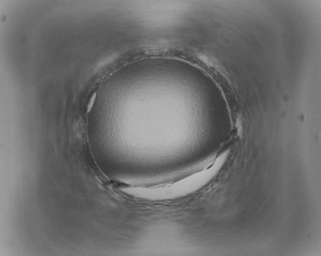 X0000070431445200606302114