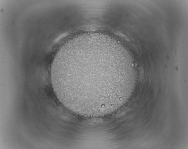 X0000070431446200606302114