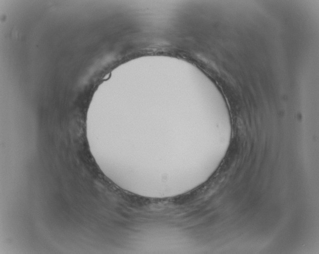 X0000070431447200606302114