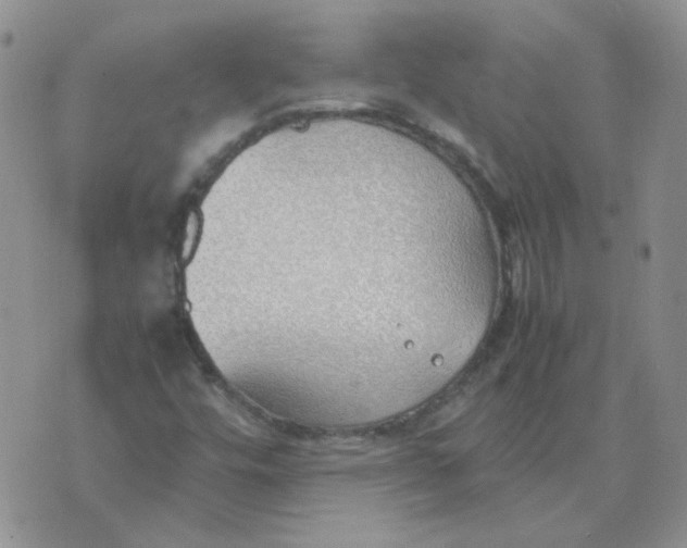 X0000070431448200606302114