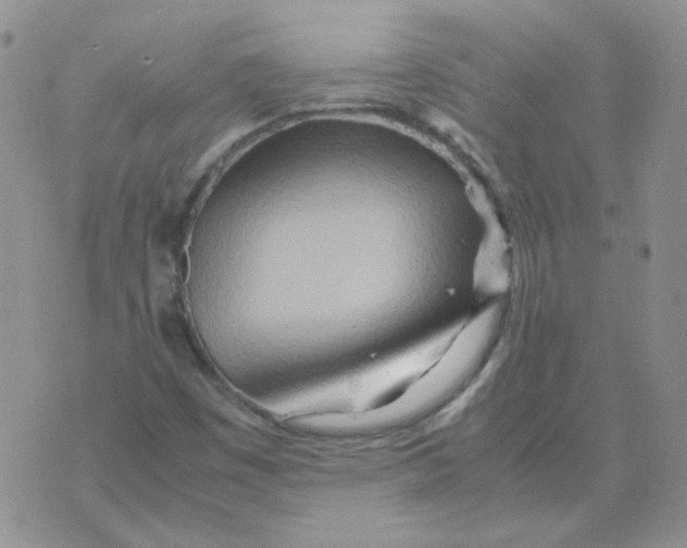 X0000070431449200606302114