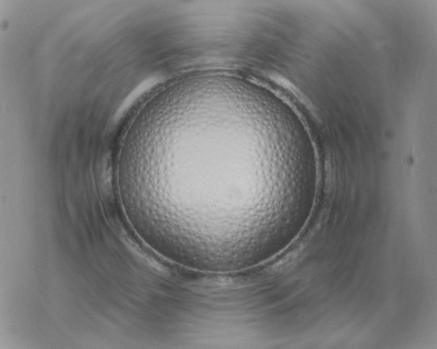 X0000070431450200606302114