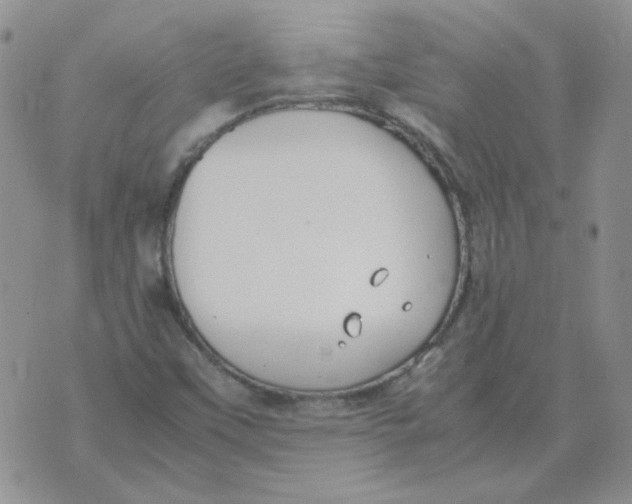 X0000070431451200606302114