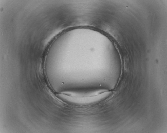 X0000070431452200606302114