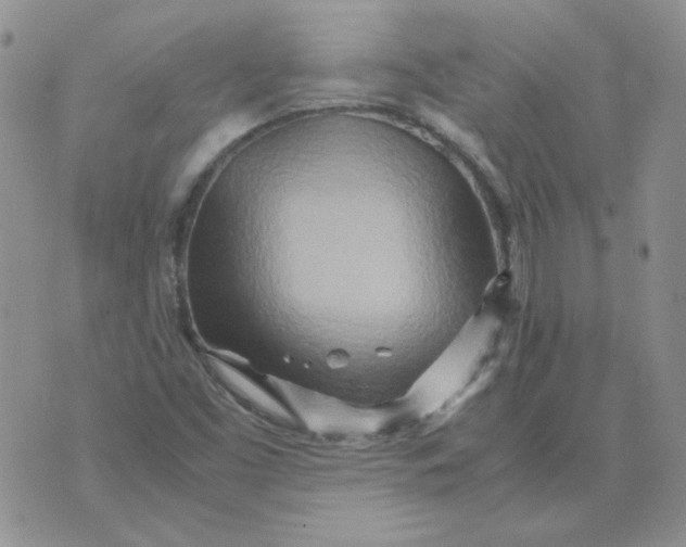 X0000070431453200606302114