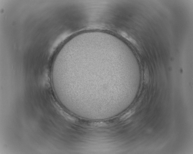 X0000070431454200606302114