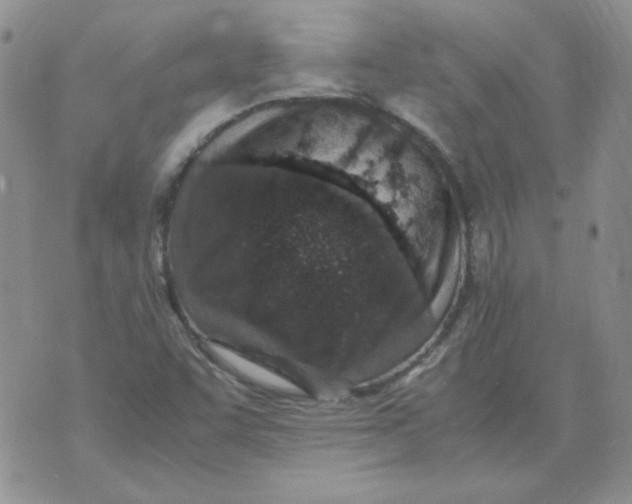 X0000070431455200606302114