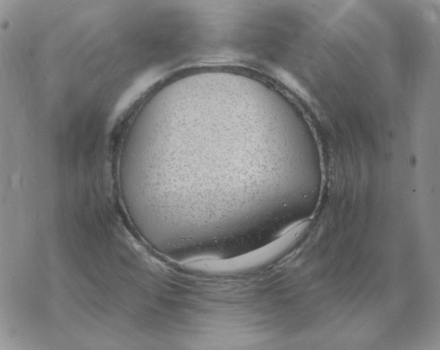 X0000070431456200606302114