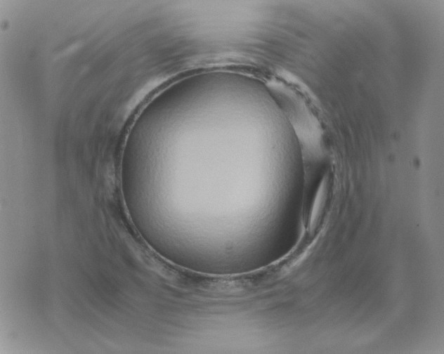 X0000070431457200606302114