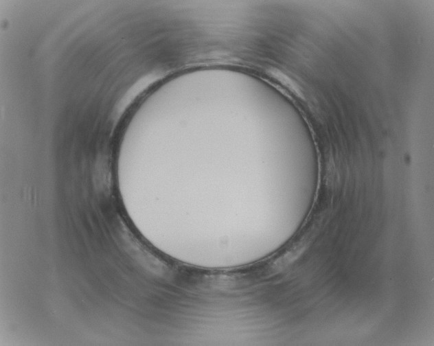 X0000070431458200606302114