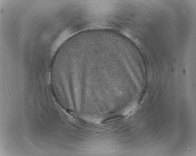 X0000070431459200606302114