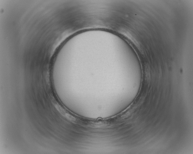 X0000070431460200606302114