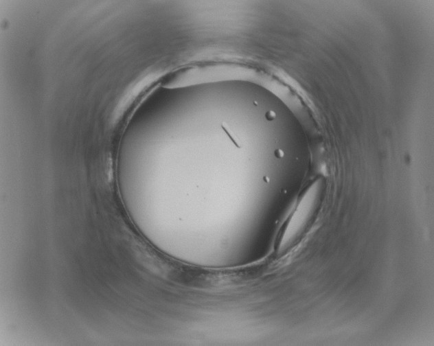 X0000070431461200606302114