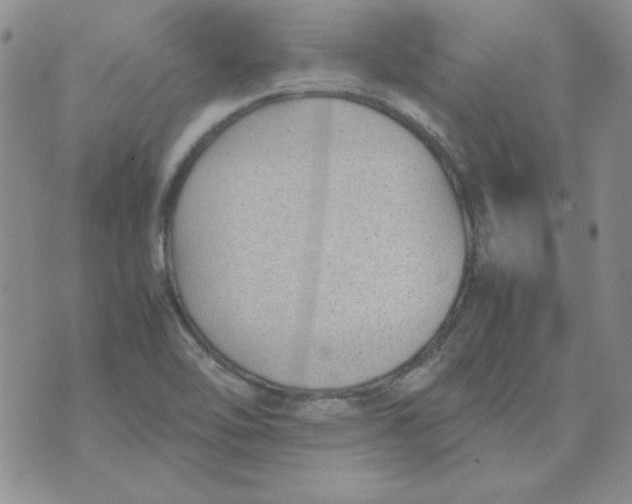 X0000070431462200606302114