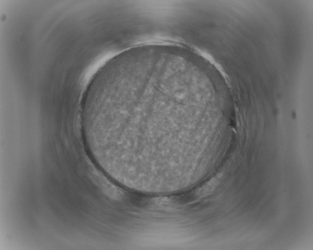 X0000070431463200606302114