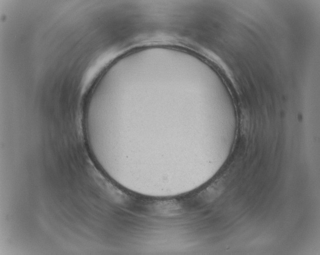 X0000070431464200606302114