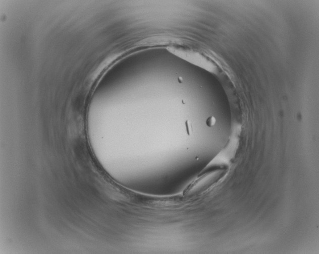 X0000070431465200606302114