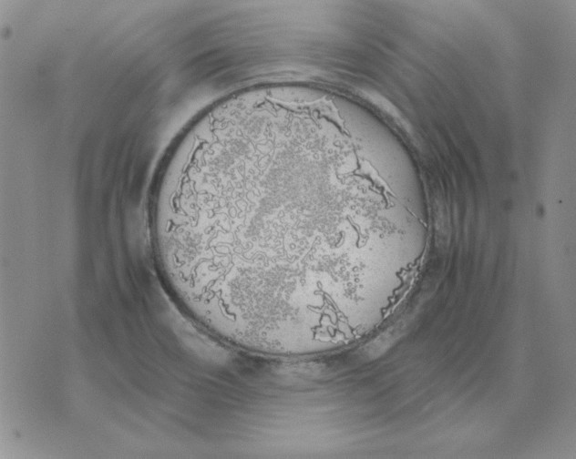 X0000070431466200606302114