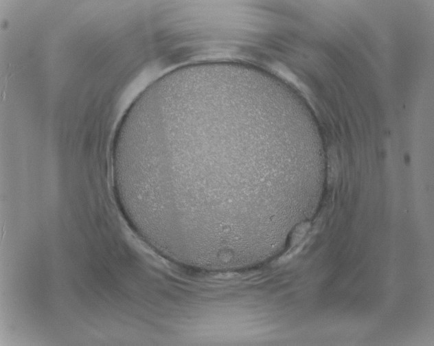 X0000070431467200606302114