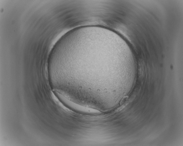 X0000070431468200606302114