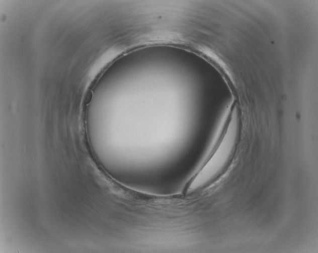 X0000070431469200606302114