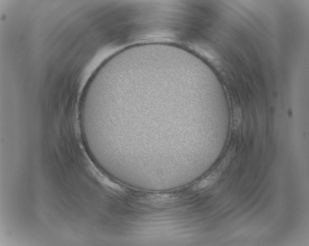 X0000070431470200606302114