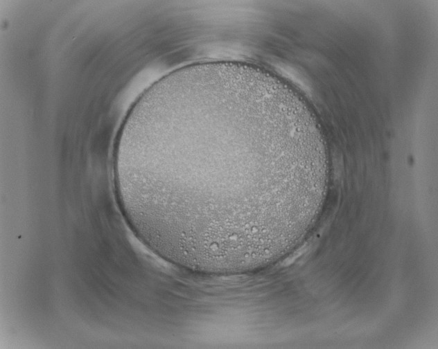 X0000070431471200606302114