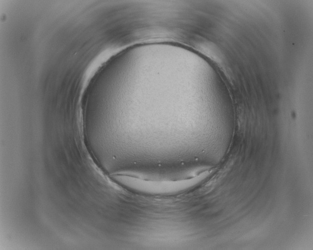 X0000070431472200606302114