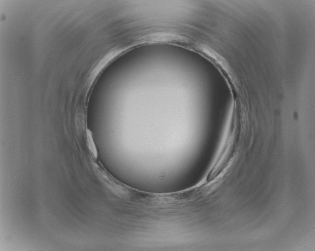 X0000070431473200606302114