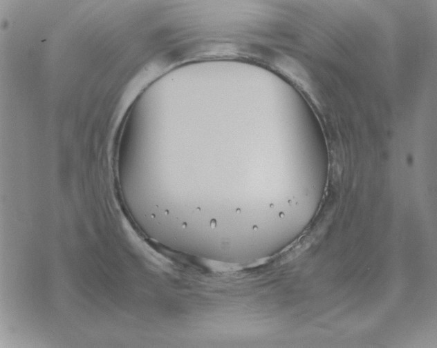 X0000070431475200606302114