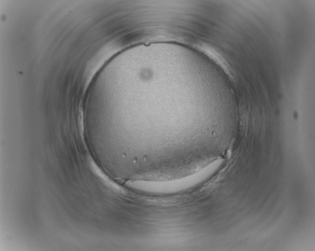 X0000070431476200606302114