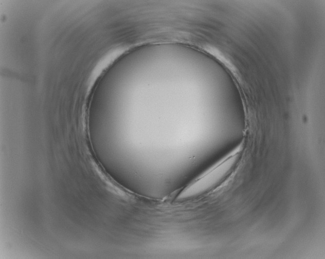 X0000070431477200606302114