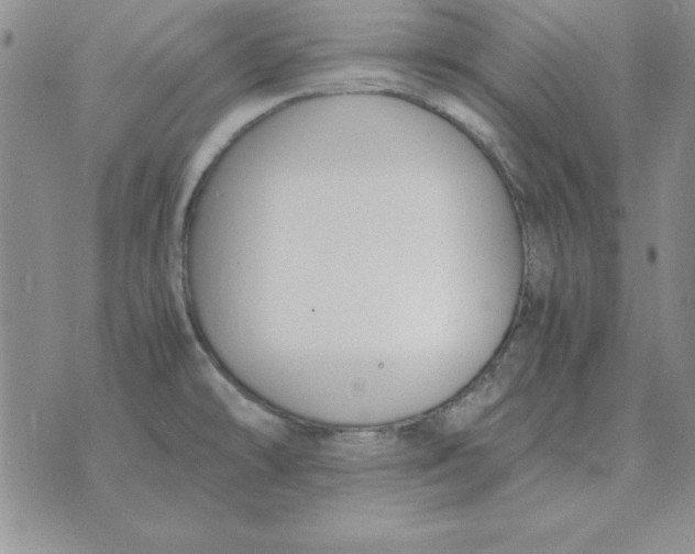 X0000070431478200606302114