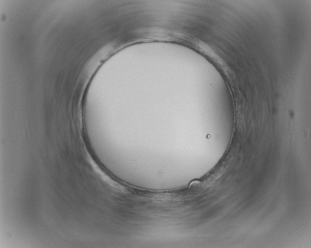 X0000070431479200606302114