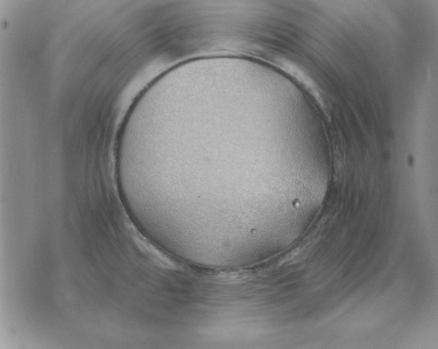 X0000070431480200606302114