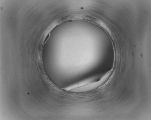 X0000070431481200606302114