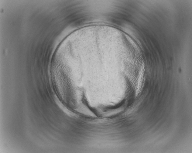 X0000070431482200606302114