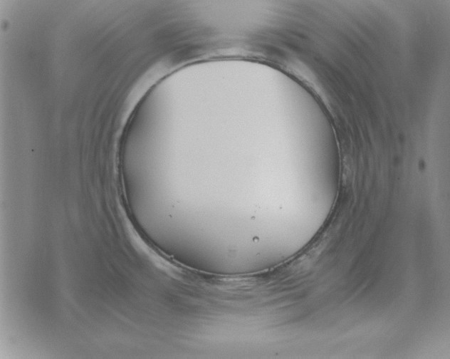 X0000070431483200606302114