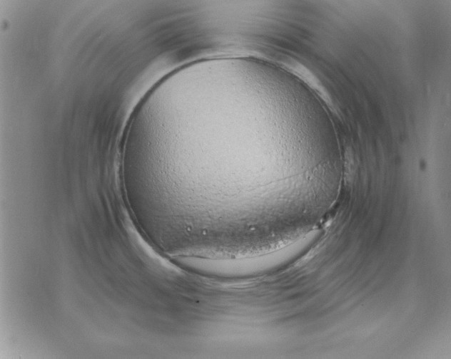 X0000070431484200606302114